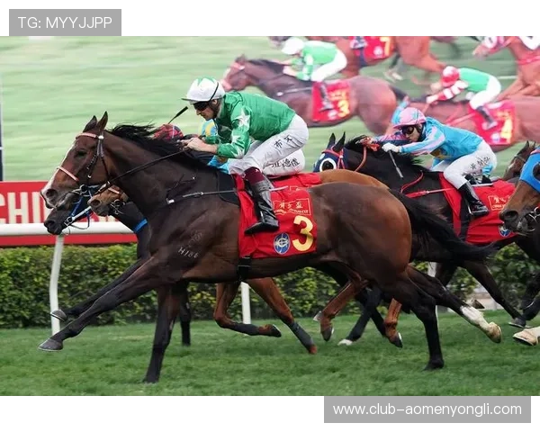 专业澳门赛马赛事资讯网站,实时更新赛马新闻、赛事分析及投注指南帮助您赢在起跑线上 专业澳门赛马赛事资讯网站,实时更新赛马新闻、赛事分析及投注指南帮助您赢在起跑线上