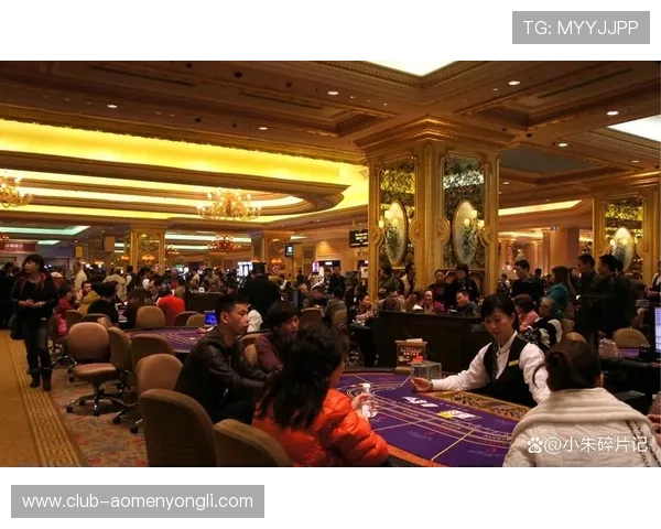澳门主要的大型赌场有哪些,游客可以在这些赌场享受哪些特色服务 澳门主要的大型赌场有哪些,游客可以在这些赌场享受哪些特色服务